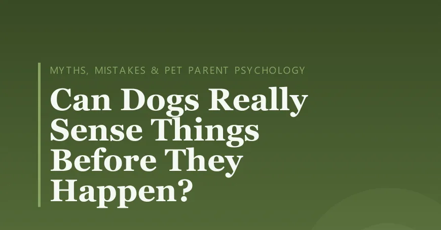 Can Dogs Really Sense Things Before They Happen?