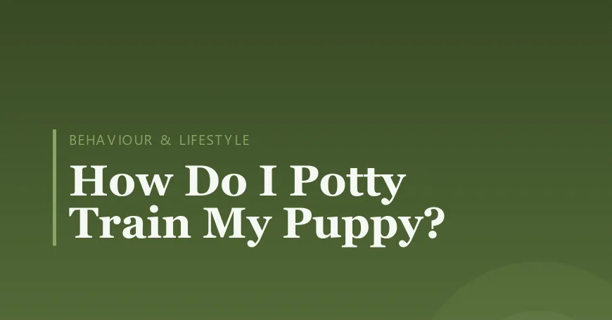 How Do I Potty Train My Puppy?