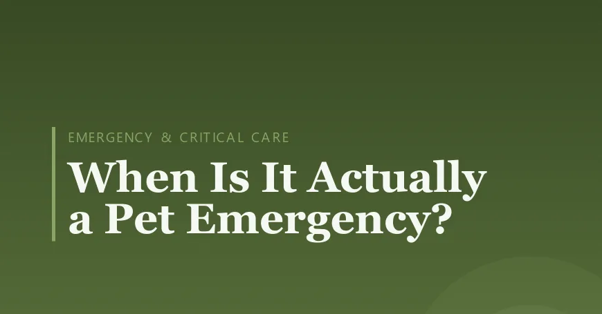 When Is It Actually a Pet Emergency?