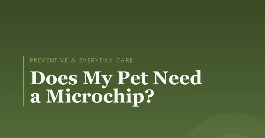 Does My Pet Need a Microchip?