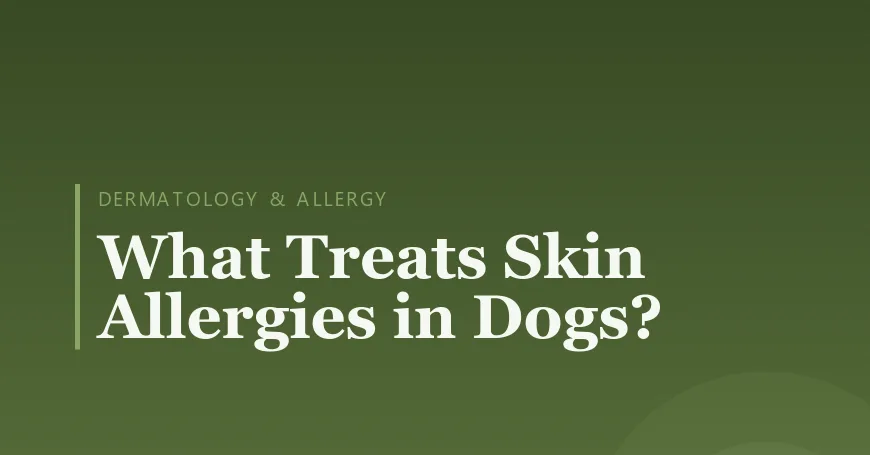 What Treats Skin Allergies in Dogs?