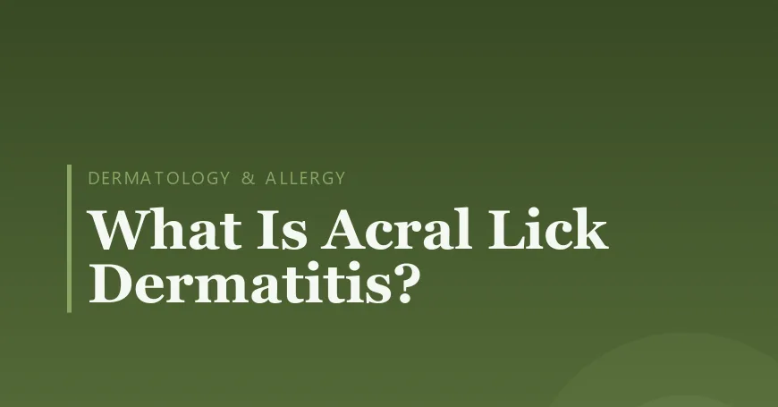 What Is Acral Lick Dermatitis?