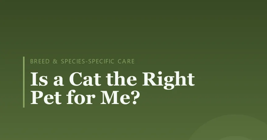Is a Cat the Right Pet for Me?