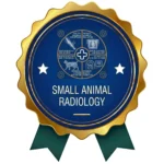 Radiology
