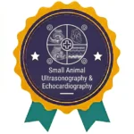 Small Animal Ultrasonography & Echocardiography