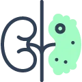 03. Icon - Renal Testing