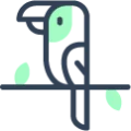 Birds Bird and avian veterinary care at Cessna Lifeline