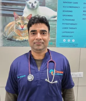 Dr. Brijesh Kumar Singh