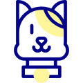 cat (1)