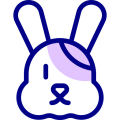 Rabbit veterinary care at Cessna Lifeline