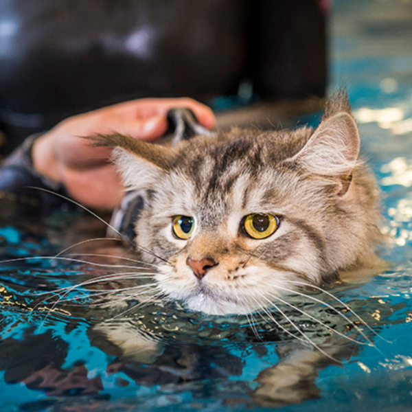 underwater
